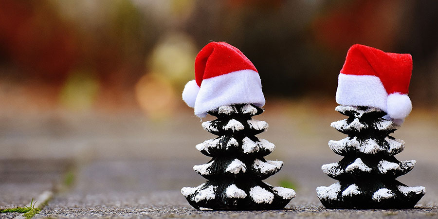 Mini Christmas trees with Santa hats on 
